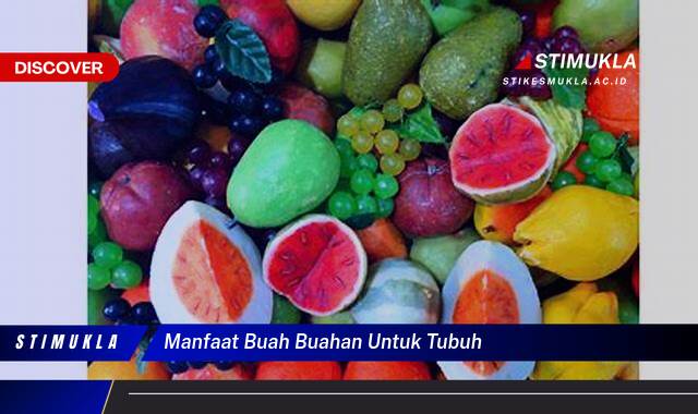 Ketahui 10 Manfaat Buah Buahan Untuk Tubuh Tingkatkan Kesehatan Anda Secara Alami