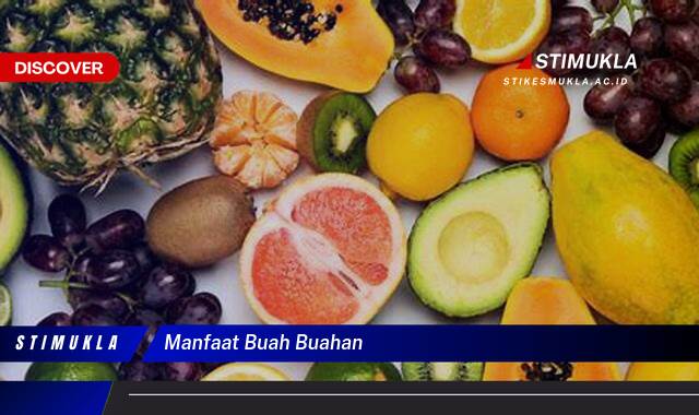 Ketahui 9 Manfaat Buah,Buahan, Dari Apel Hingga Zuriat untuk Kesehatan Anda