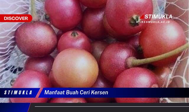 Ketahui 9 Manfaat Buah Ceri Kersen untuk Kesehatan Anda