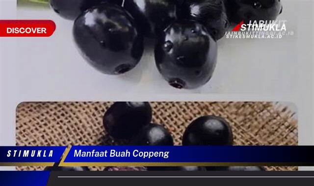 8 Manfaat Buah Coppeng untuk Kesehatan dan Kecantikan Kulit