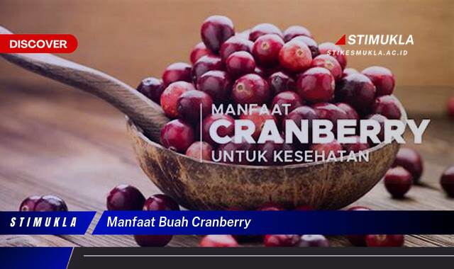 Temukan 10 Manfaat Buah Cranberry untuk Kesehatan Anda Temukan 10 Manfaat Buah Cranberry untuk Kesehatan Anda
