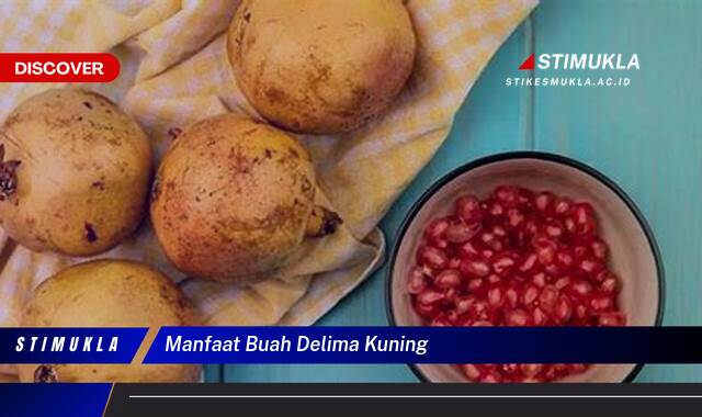 Ketahui 8 Manfaat Buah Delima Kuning untuk Kesehatan Tubuh