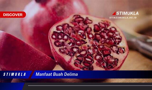 Ketahui 9 Manfaat Buah Delima untuk Kesehatan Tubuh Anda Ketahui 9 Manfaat Buah Delima untuk Kesehatan Tubuh Anda