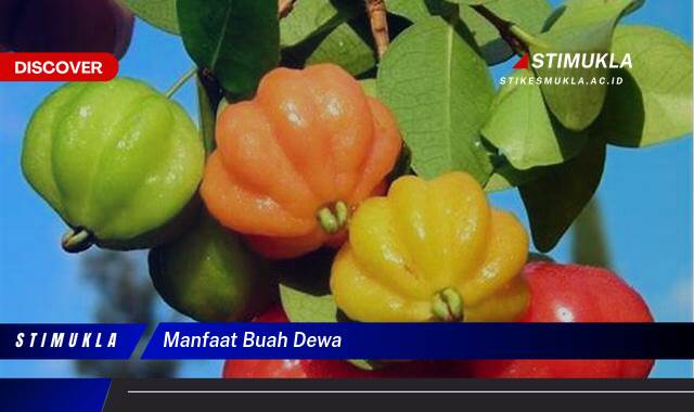 8 Manfaat Buah Dewa untuk Kesehatan, Kecantikan, dan Stamina