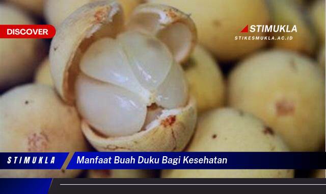 Ketahui 10 Manfaat Buah Duku bagi Kesehatan yang Menakjubkan