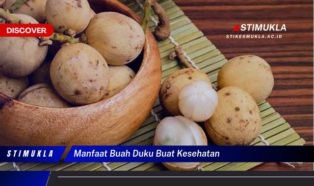 Ketahui 10 Manfaat Buah Duku untuk Kesehatan Tubuh Anda