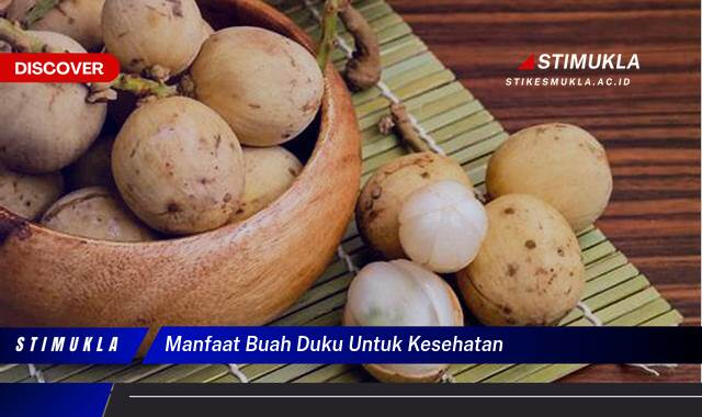 Temukan 10 Manfaat Buah Duku untuk Kesehatan Tubuh Anda Temukan 10 Manfaat Buah Duku untuk Kesehatan Tubuh Anda