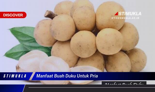 Ketahui 10 Manfaat Buah Duku untuk Kesehatan Pria, Meningkatkan Energi dan Vitalitas Ketahui 10 Manfaat Buah Duku untuk Kesehatan Pria, Meningkatkan Energi dan Vitalitas