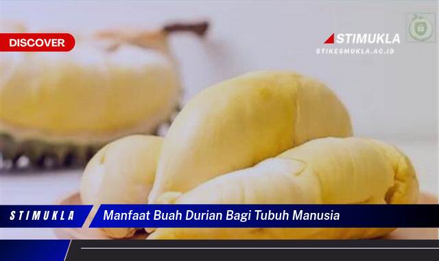 Temukan 10 Manfaat Buah Durian Bagi Tubuh, Meningkatkan Kesehatan Anda