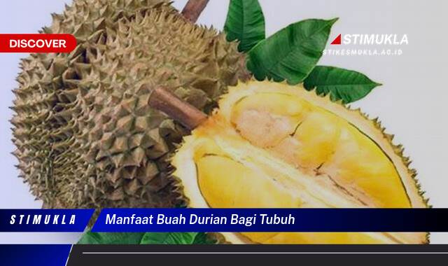 Ketahui 10 Manfaat Buah Durian Bagi Tubuh untuk Kesehatan Anda Ketahui 10 Manfaat Buah Durian Bagi Tubuh untuk Kesehatan Anda