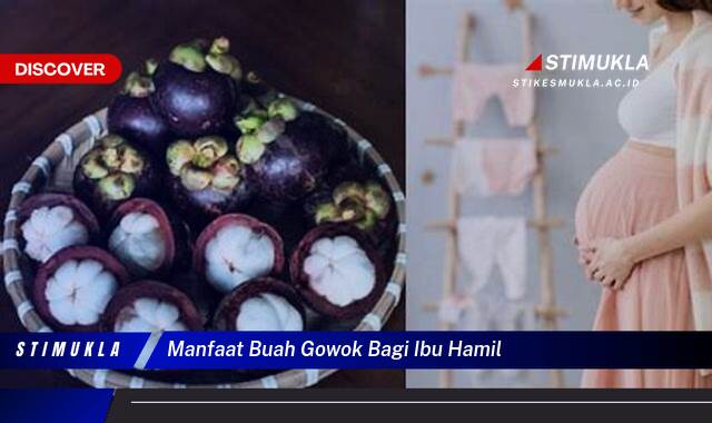 9 Manfaat buah gowok bagi ibu hamil, Terungkap! Khasiatnya