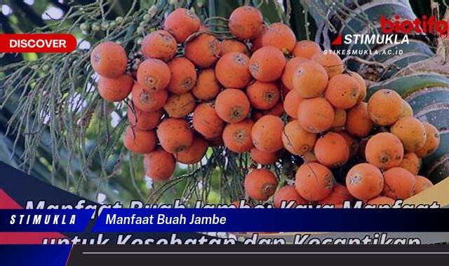 Ketahui 9 Manfaat Buah Jambe untuk Kesehatan Tubuh Anda