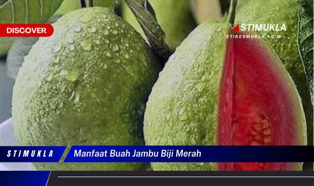 Inilah 10 Manfaat Buah Jambu Biji Merah untuk Kesehatan Anda Inilah 10 Manfaat Buah Jambu Biji Merah untuk Kesehatan Anda