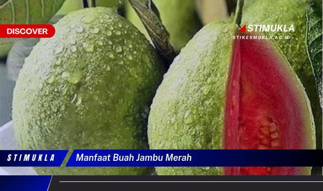 Ketahui 9 Manfaat Buah Jambu Merah untuk Kesehatan dan Kecantikan Ketahui 9 Manfaat Buah Jambu Merah untuk Kesehatan dan Kecantikan