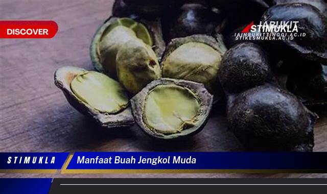 8 Manfaat Jengkol Muda Ungkap Khasiat Tersembunyi