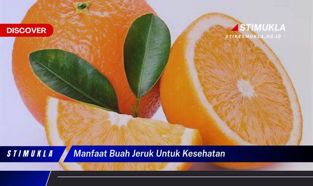 Ketahui 8 Manfaat Buah Jeruk untuk Kesehatan Tubuh Anda Ketahui 8 Manfaat Buah Jeruk untuk Kesehatan Tubuh Anda