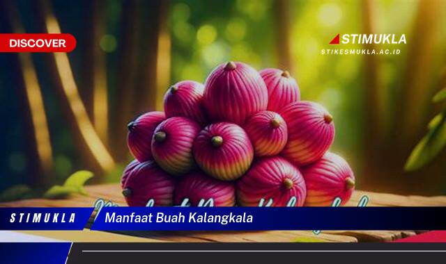 10 Manfaat Manfaat Buah Kalangkala Untuk Kesehatan Alami
