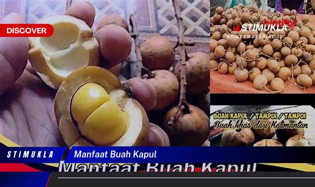 Temukan 10 Manfaat Buah Kapul untuk Kesehatan Tubuh