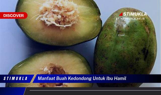 Ketahui 9 Manfaat Buah Kedondong Untuk Ibu Hamil, Kesehatan Janin & Bumil Ketahui 9 Manfaat Buah Kedondong Untuk Ibu Hamil, Kesehatan Janin & Bumil