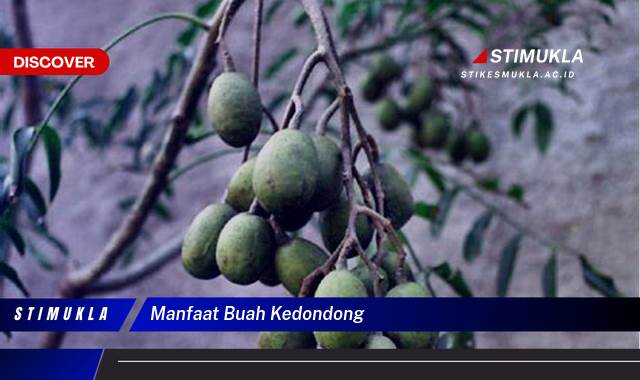 Ketahui 9 Manfaat Buah Kedondong untuk Kesehatan Tubuh Anda Ketahui 9 Manfaat Buah Kedondong untuk Kesehatan Tubuh Anda