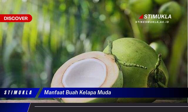 Ketahui 10 Manfaat Buah Kelapa Muda untuk Kesehatan Tubuh Anda Ketahui 10 Manfaat Buah Kelapa Muda untuk Kesehatan Tubuh Anda