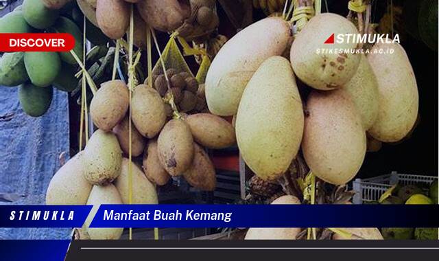 Ketahui 9 Manfaat Buah Kemang untuk Kesehatan, Kecantikan, dan Cara Mengolahnya