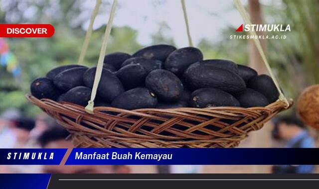 Ketahui 10 Manfaat Buah Kemayau untuk Kesehatan dan Kecantikan