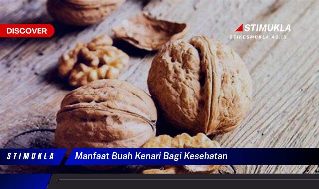 9 Manfaat Buah Kenari Bagi Kesehatan Tubuh dan Otak 9 Manfaat Buah Kenari Bagi Kesehatan Tubuh dan Otak