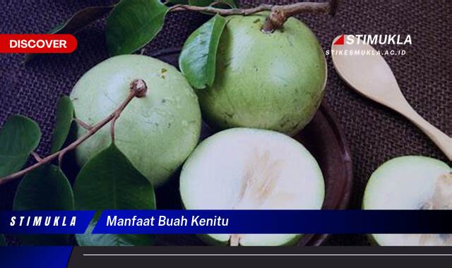 Ketahui 8 Manfaat Buah Kenitu untuk Kesehatan dan Kecantikan Ketahui 8 Manfaat Buah Kenitu untuk Kesehatan dan Kecantikan