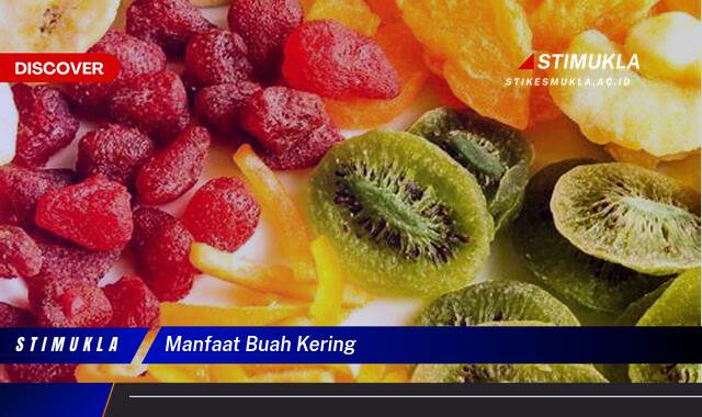 9 Manfaat manfaat buah kering Temukan Rahasia Kesehatan Alami