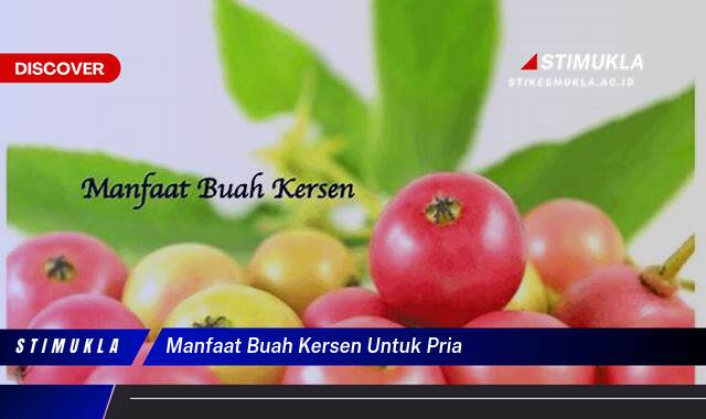 Ketahui 8 Manfaat Buah Kersen untuk Kesehatan Pria, Meningkatkan Stamina dan Vitalitas