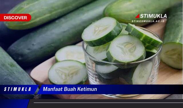 10 Manfaat manfaat buah ketimun Untuk Kesehatan Optimal
