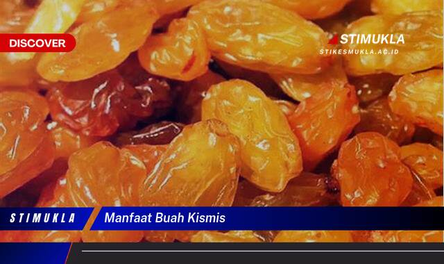 Ketahui 9 Manfaat Buah Kismis untuk Kesehatan, Kecantikan, dan Cara Mengonsumsinya Ketahui 9 Manfaat Buah Kismis untuk Kesehatan, Kecantikan, dan Cara Mengonsumsinya