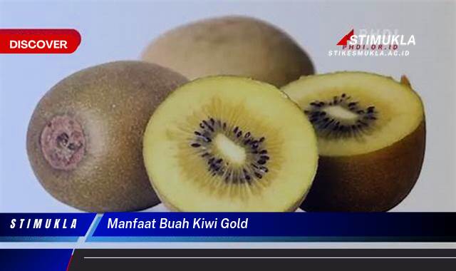 Ketahui 8 Manfaat Buah Kiwi Gold untuk Kesehatan Tubuh Anda