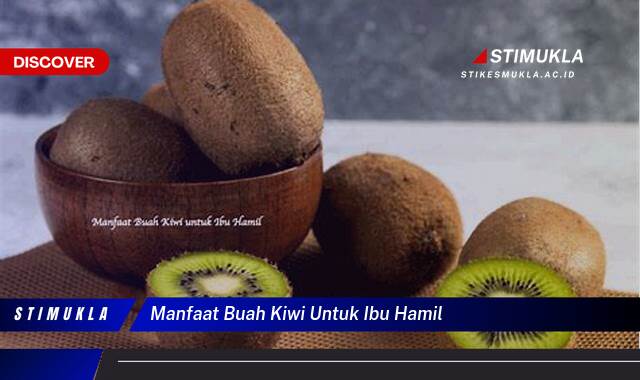 Ketahui 8 Manfaat Buah Kiwi untuk Ibu Hamil, Kesehatan Bumil dan Janin Ketahui 8 Manfaat Buah Kiwi untuk Ibu Hamil, Kesehatan Bumil dan Janin