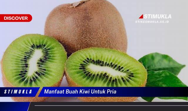 Temukan 8 Manfaat Buah Kiwi untuk Pria Tingkatkan Stamina dan Vitalitas