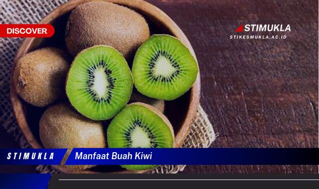 Ketahui 10 Manfaat Buah Kiwi untuk Kesehatan Tubuh Anda Ketahui 10 Manfaat Buah Kiwi untuk Kesehatan Tubuh Anda