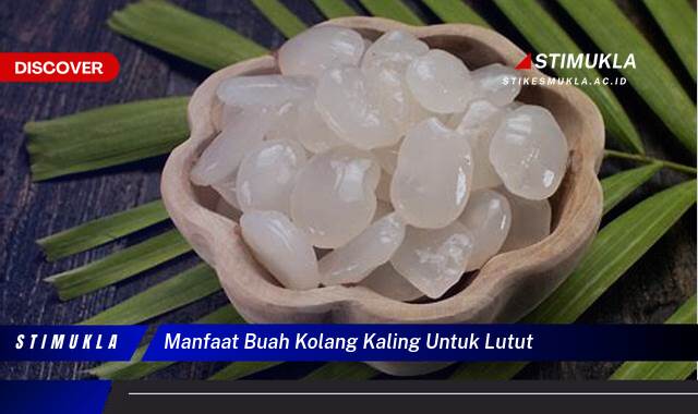 Temukan 10 Manfaat Buah Kolang,Kaling untuk Lutut, Atasi Nyeri, Radang Sendi