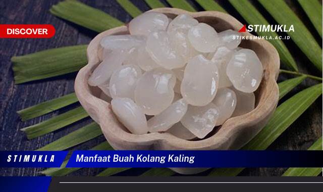 Ketahui 8 Manfaat Buah Kolang,Kaling untuk Kesehatan Tubuh Anda