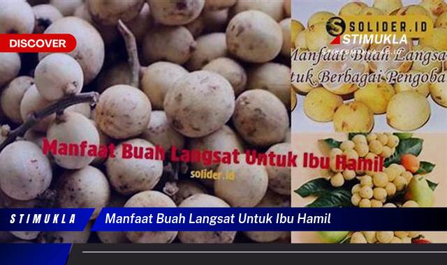 Ketahui 8 Manfaat Buah Langsat untuk Ibu Hamil, Nutrisi Penting dan Keamanan Konsumsi