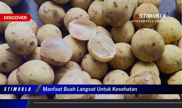 Ketahui 8 Manfaat Buah Langsat untuk Kesehatan Tubuh Anda