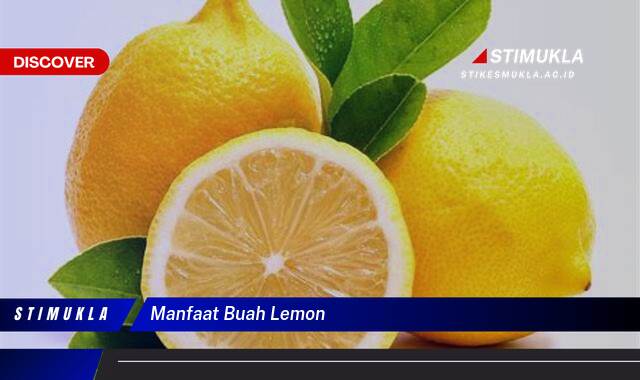 Ketahui 9 Manfaat Buah Lemon untuk Kesehatan, Kecantikan, dan Rumah Tangga Ketahui 9 Manfaat Buah Lemon untuk Kesehatan, Kecantikan, dan Rumah Tangga