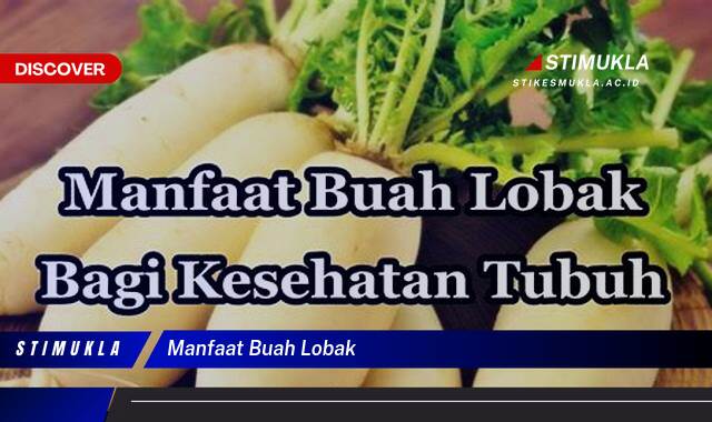 Temukan 9 Manfaat Buah Lobak untuk Kesehatan Tubuh Anda