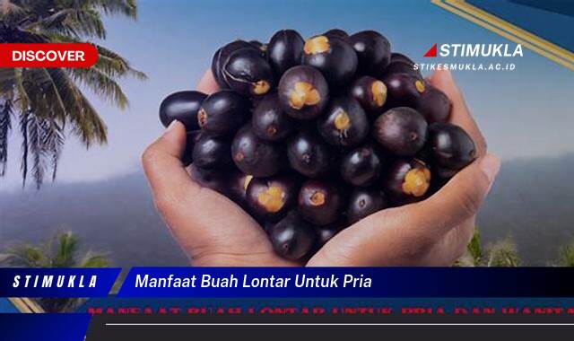 Ketahui 8 Manfaat Buah Lontar untuk Kesehatan Pria, Stamina, Vitalitas, dan Lainnya