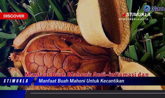 Inilah 8 Manfaat Buah Mahoni untuk Kecantikan Kulitmu Secara Alami
