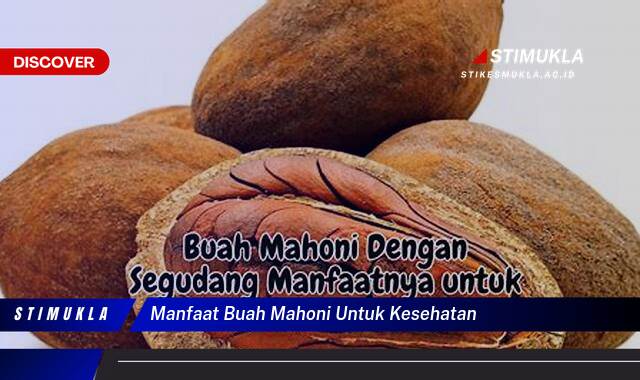 Ketahui 8 Manfaat Buah Mahoni untuk Kesehatan Tubuh Anda Secara Lengkap