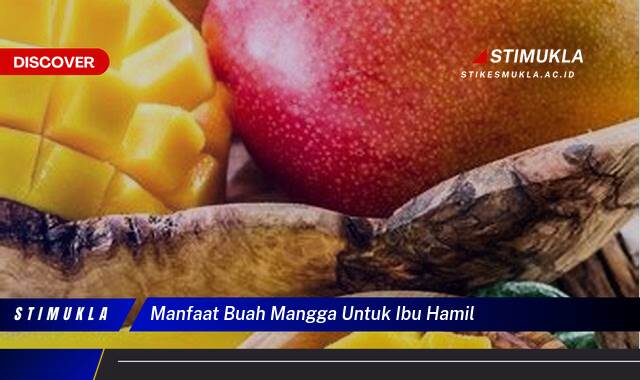 Ketahui 10 Manfaat Buah Mangga untuk Ibu Hamil dan Janin, Nutrisi, Tips, dan Efek Samping Ketahui 10 Manfaat Buah Mangga untuk Ibu Hamil dan Janin, Nutrisi, Tips, dan Efek Samping