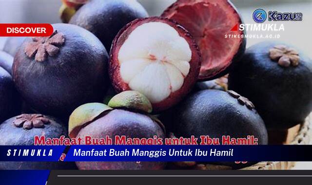 Ketahui 8 Manfaat Buah Manggis untuk Ibu Hamil, Nutrisi Penting dan Keamanan Konsumsi