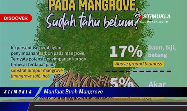 10 Manfaat Buah Mangrove Ungkap Khasiat Tak Terduga