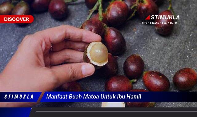 Ketahui 8 Manfaat Buah Matoa untuk Ibu Hamil dan Janin, Nutrisi, Keamanan, dan Tips Konsumsi